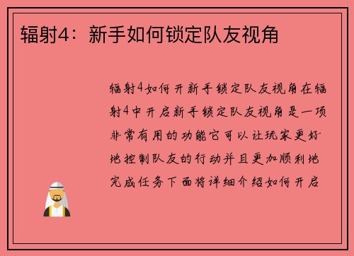 辐射4：新手如何锁定队友视角
