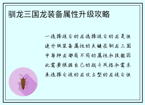 驯龙三国龙装备属性升级攻略